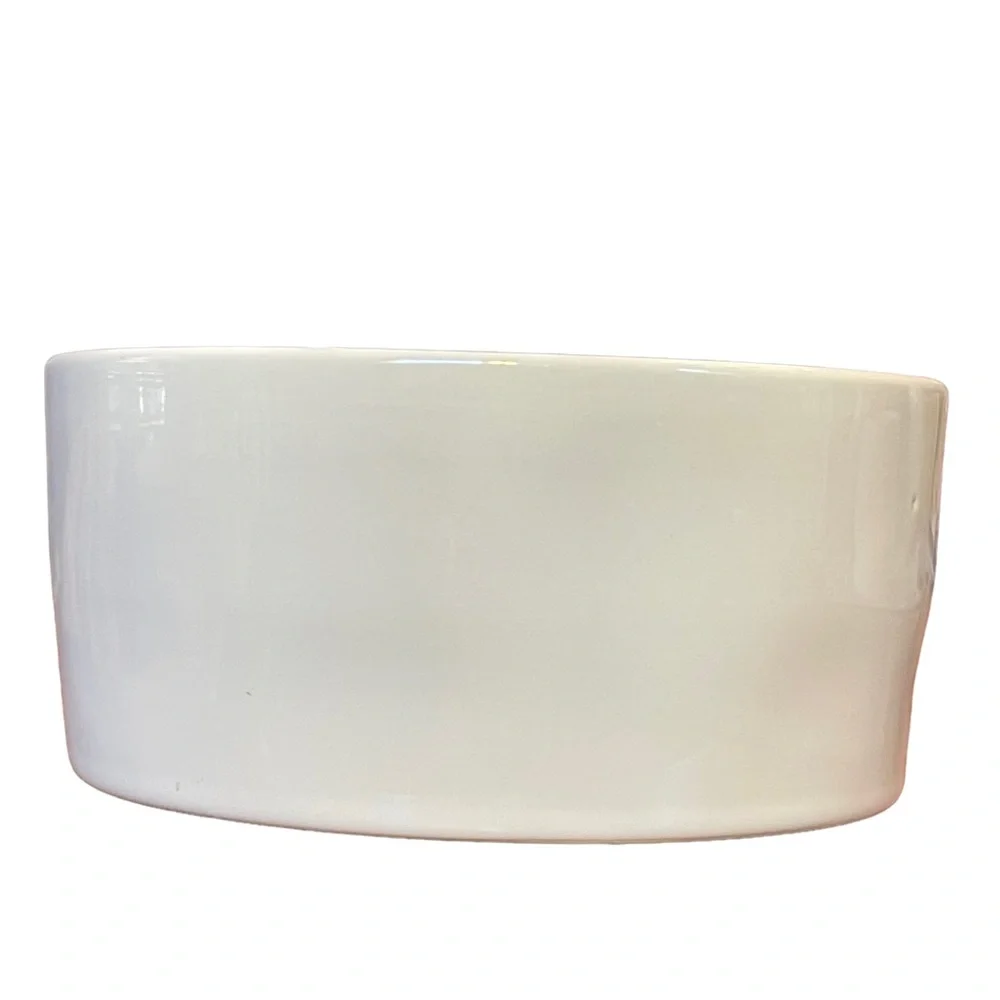 Rae Dunn GULP Pet Bowl